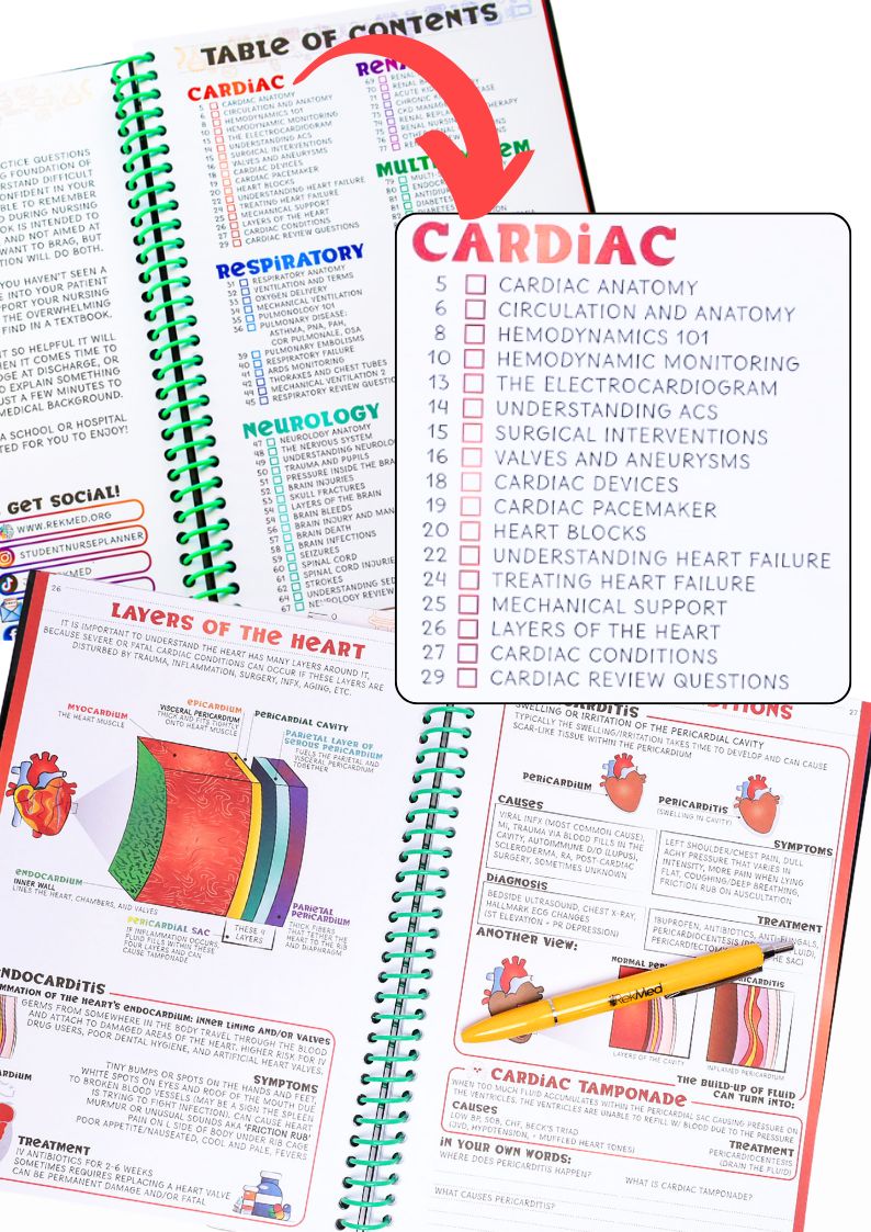 Nurse Review Book + RekPlay Nurse