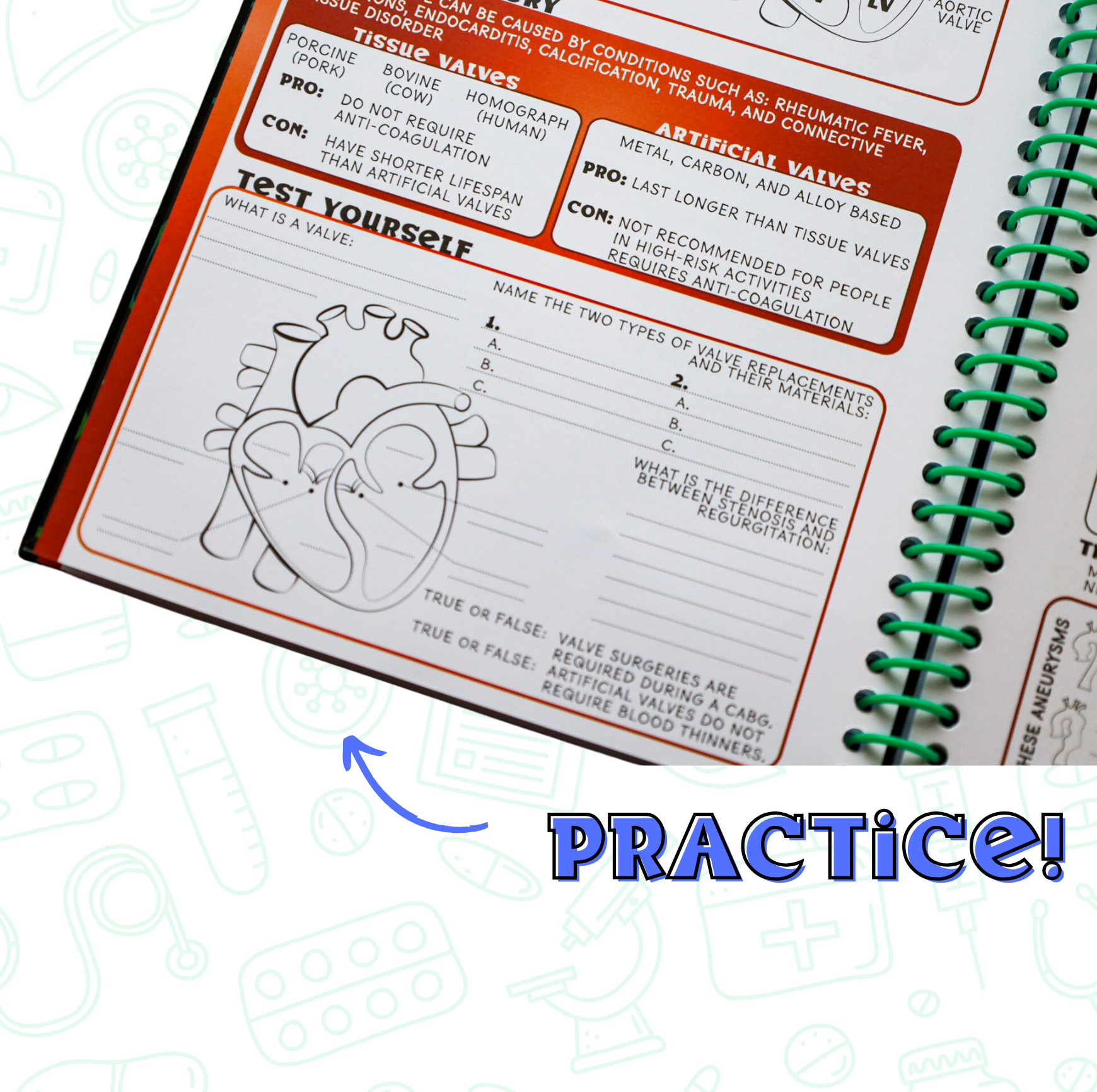 NEW: The Nurse Review Book with practice questions!