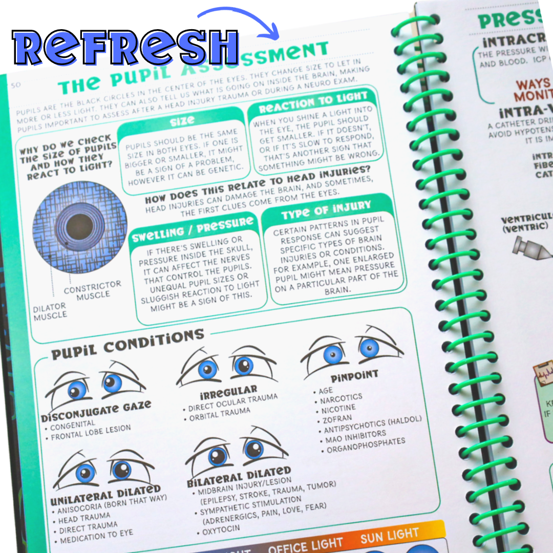 NEW: The Nurse Review Book with practice questions!