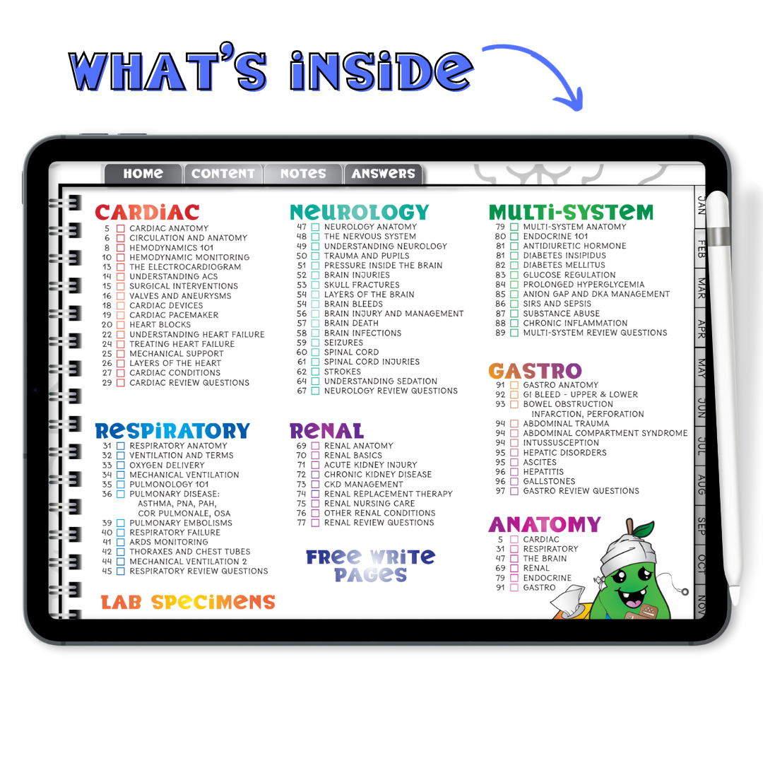 UNDATED DIGITAL NURSE Planner 3.0 AND the Nurse Review Content!