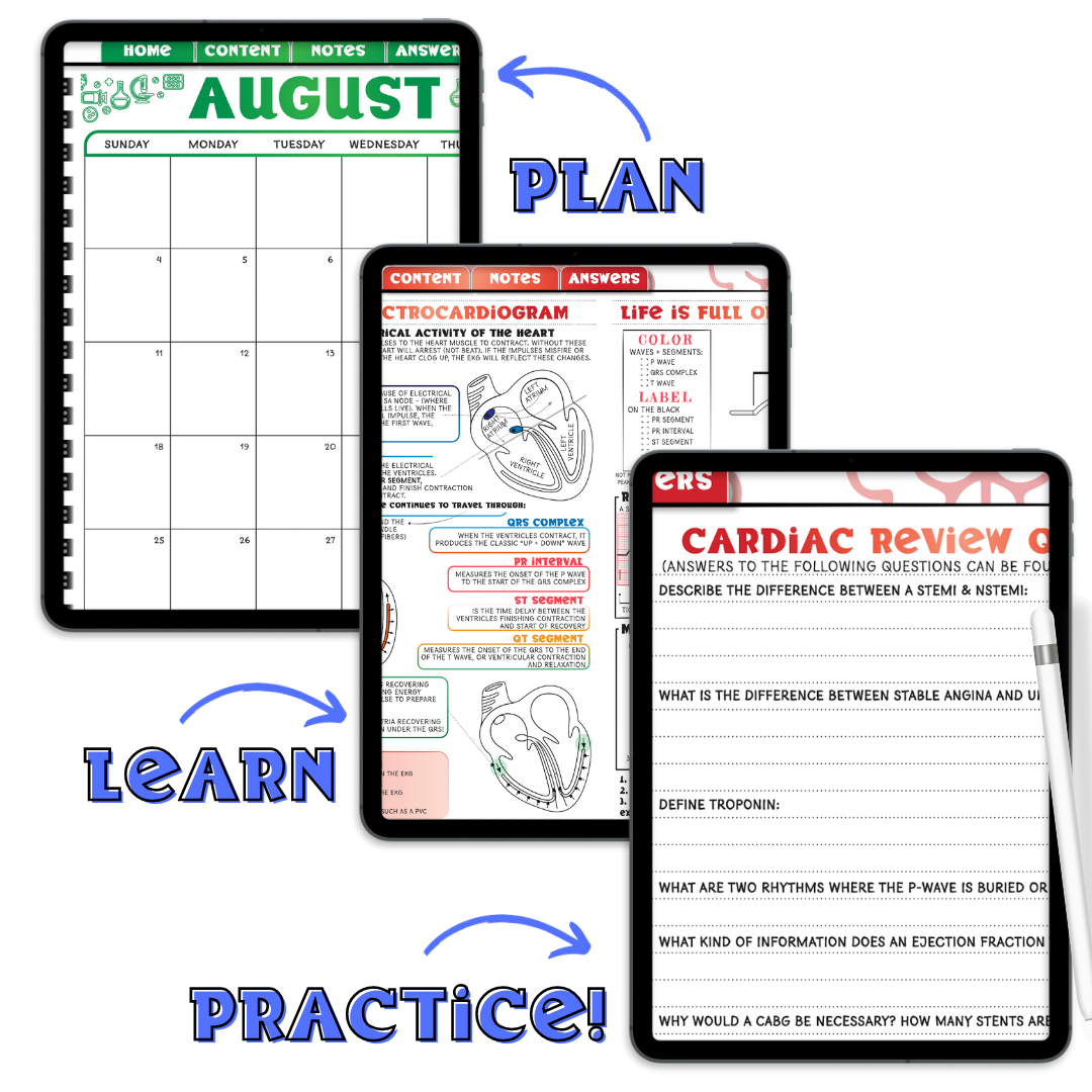 2024 August DIGITAL Student Nurse Planner 5.0 with the NEW Student Review Content!