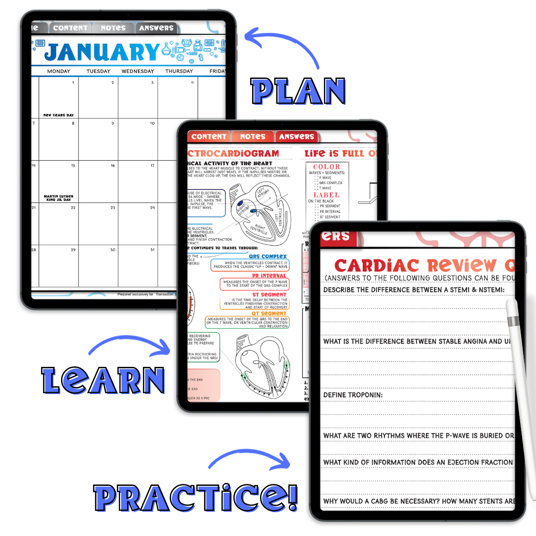 2024 Jan-Dec DIGITAL NURSE Planner 3.0 AND the Nurse Review Content!
