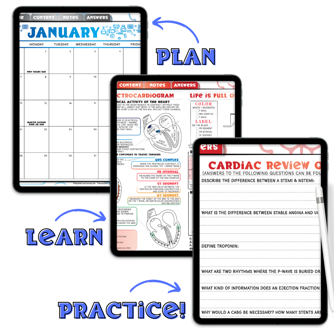 2024 Jan-Dec DIGITAL Student Nurse Planner 5.0 with the NEW Student Review Content!