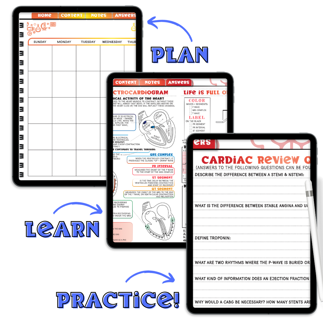 UNDATED DIGITAL Student Nurse Planner 5.0 with the NEW Student Review Content
