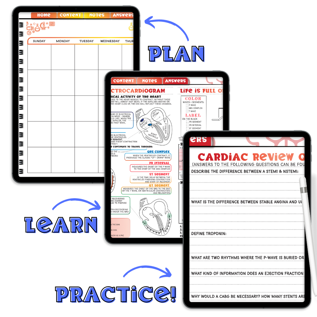 UNDATED DIGITAL Student Nurse Planner 5.0 with the NEW Student Review Content!