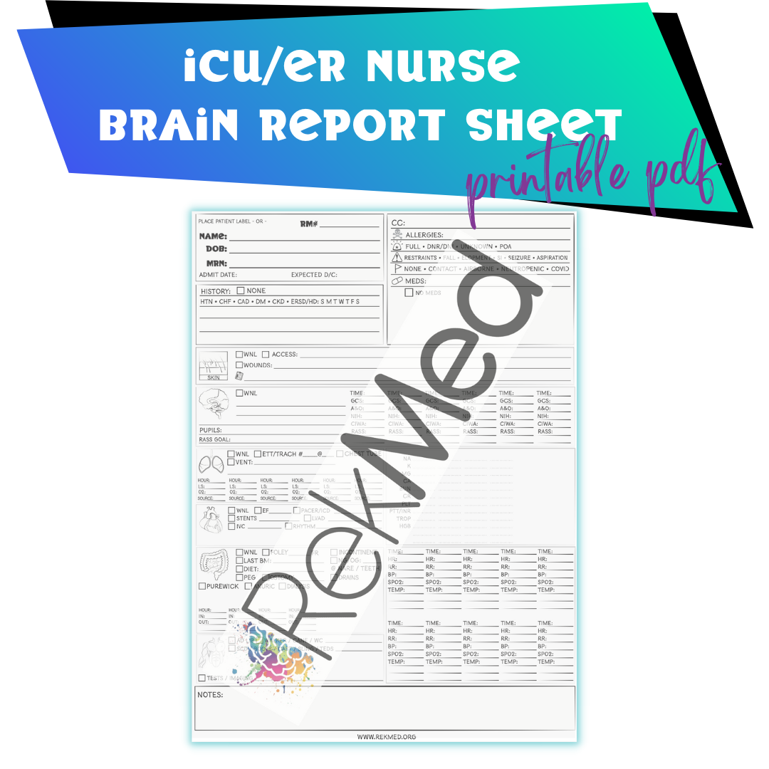 The ICU/ER Nurse Brain Sheet PDF